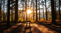 healing words inspire resilience