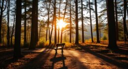 healing words inspire resilience