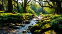 inspirational outdoor nature quotes
