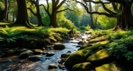 inspirational outdoor nature quotes
