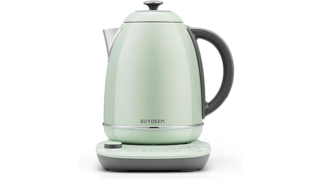 electric kettle with temp