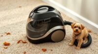 pet friendly portable carpet cleaners