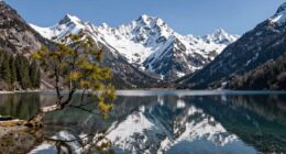 balance control and acceptance