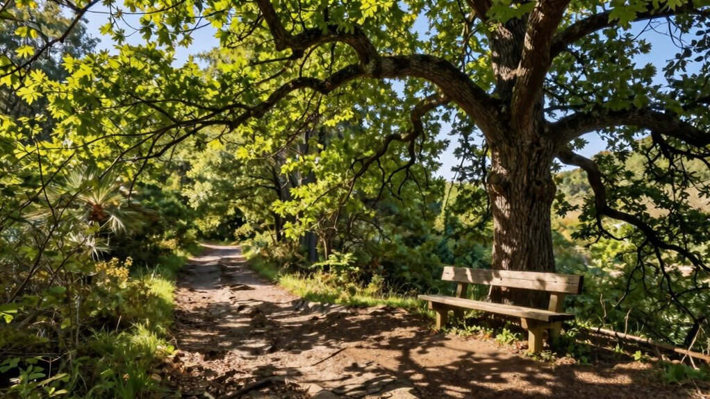 embrace change s nuanced journey