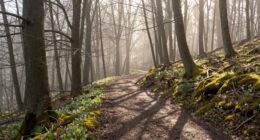 embrace uncertainty for growth