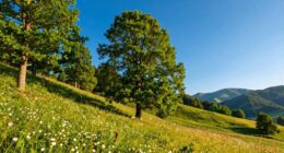 essential photo editing sliders