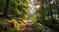 nature therapy restores mental health