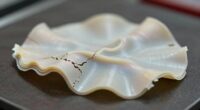 print warping causes unveiled