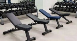 top 15 adjustable benches