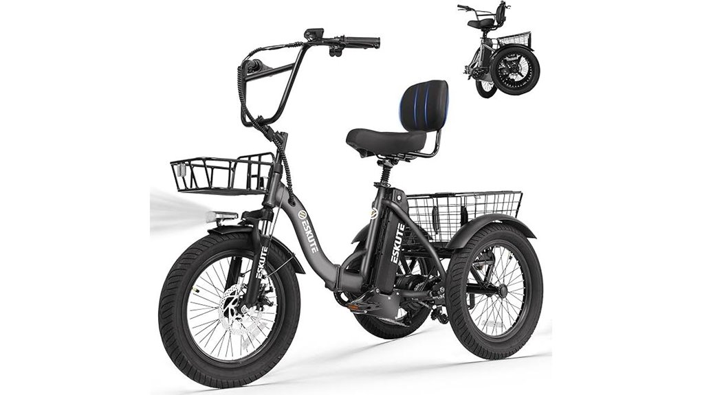 adult electric tricycle
