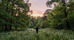 balanced boundaries and openness