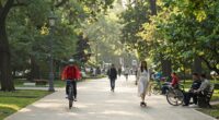 car free short travel