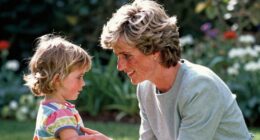 compassion presence princess diana