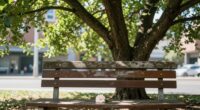 cultivate calm through mindfulness
