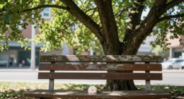 cultivate calm through mindfulness
