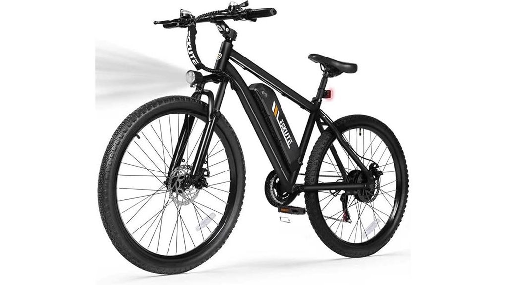 electric mountain bike