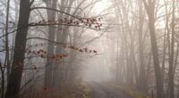 embracing uncertainty patiently