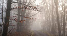 embracing uncertainty patiently