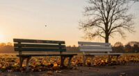 growth through friendship loss