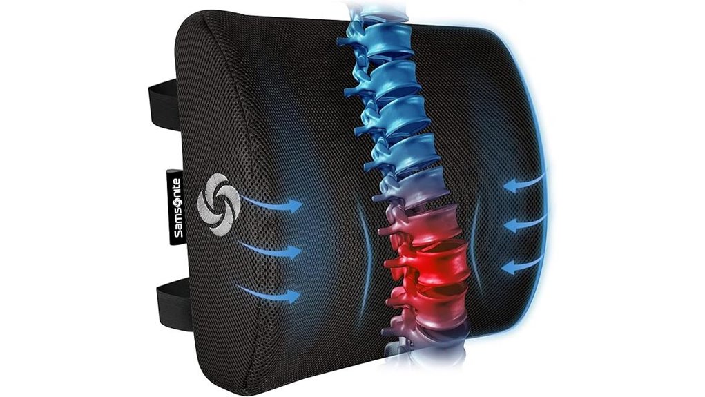 lumbar support pillow