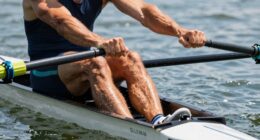 muscle groups engaged during rowing