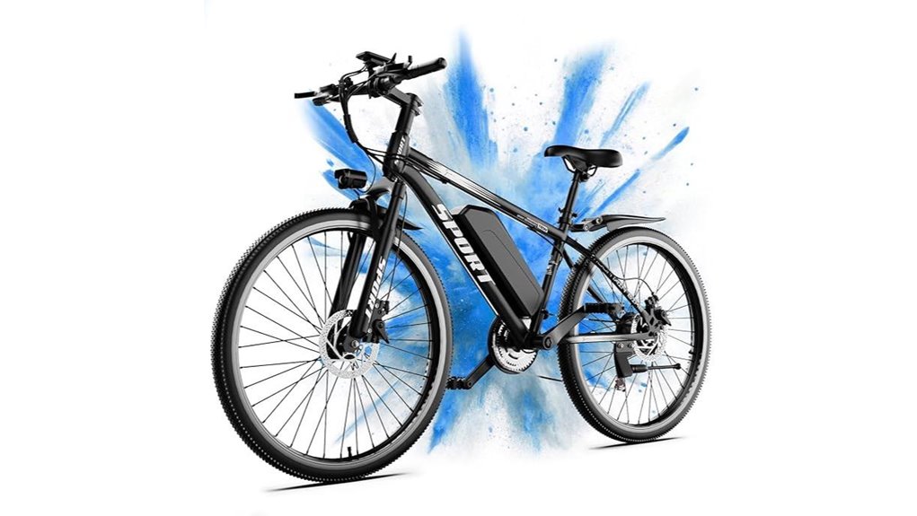powerful long range electric bike