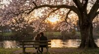 shared yet misunderstood love