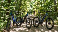 top electric bikes 2026