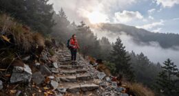 understanding follows taking action