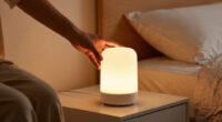2 Best Home Night Lights In 2026