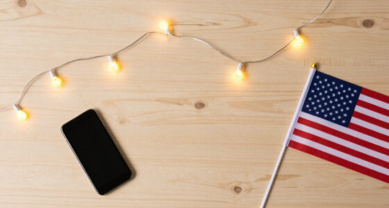 13 Best Patriotic LED String Lights in 2026