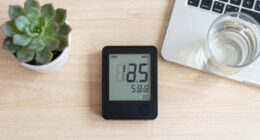 Weathergotchi – An E-Paper Climate Logger
