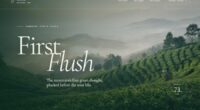 First Flush — Serein Tea Estate (FABLE/175)