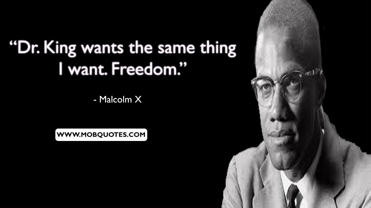 Malcolm X Quotes Education